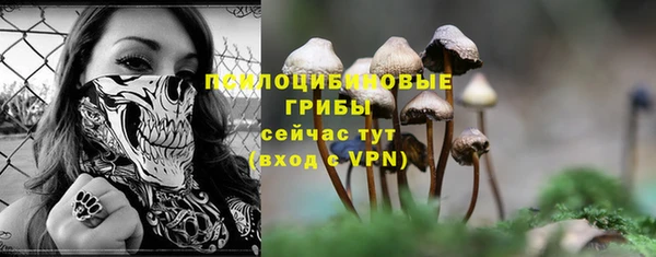 индика Балахна