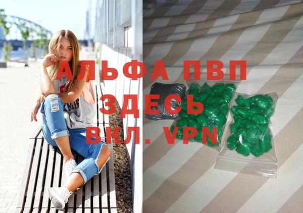индика Балахна