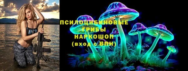 индика Балахна