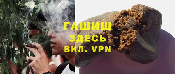 индика Балахна