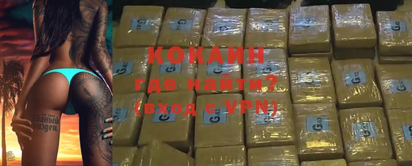 индика Балахна