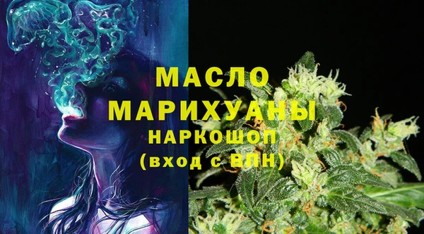 индика Балахна